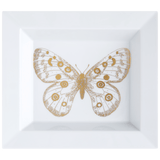 Vide-Poche, Meissen-Schale groß, Goldschmetterling,16 x 13,5 cm | Meissen Kollektion Flying Wonders