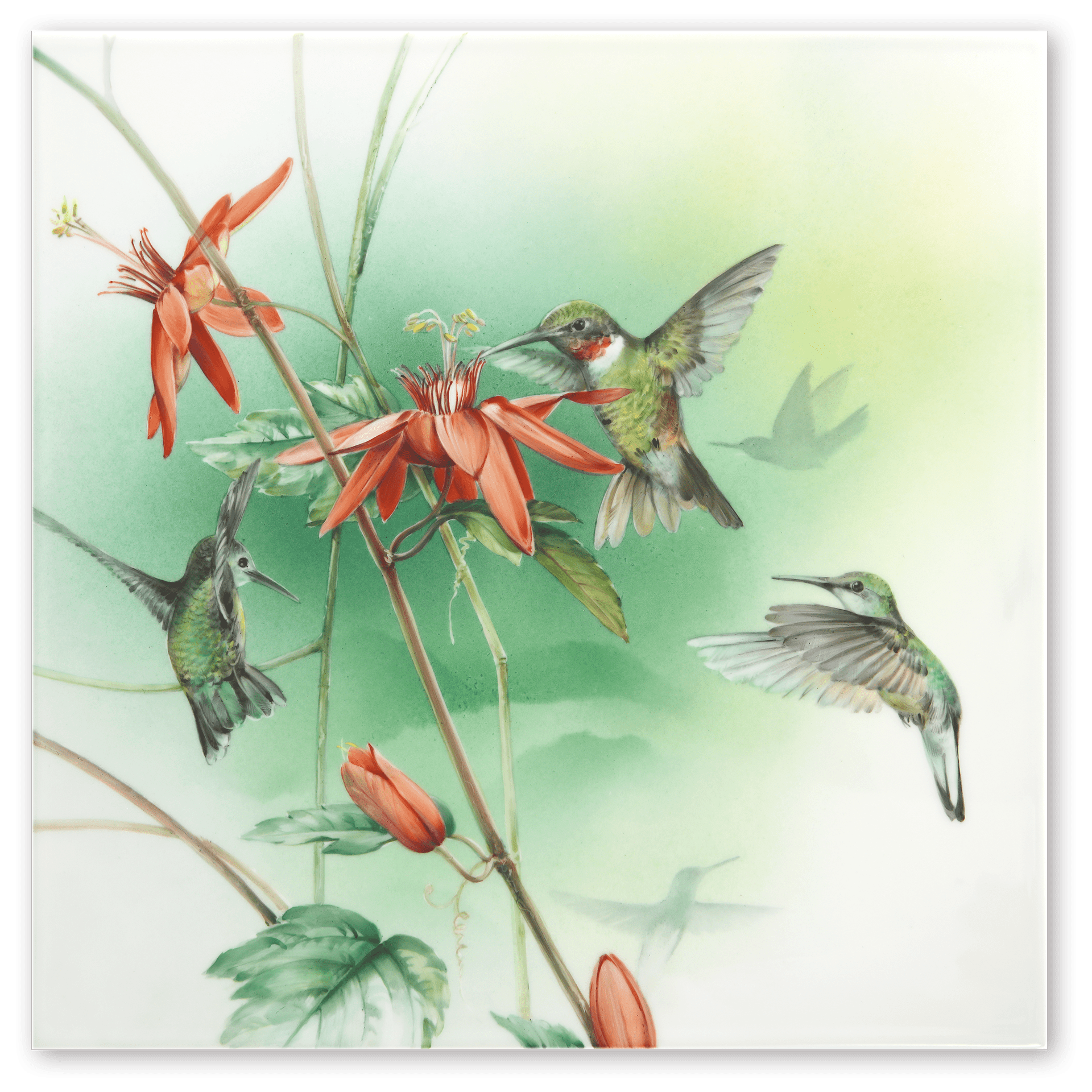 Wandbild Amazonas - Kolibris, Porzellan, H 30 cm, Limitierte Edition 25 Stück | Meissen Wandbilder - Edition 936d74 - 9m010 - Meissen Weimar