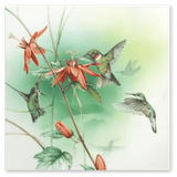 Wandbild Amazonas - Kolibris, Porzellan, H 30 cm, Limitierte Edition 25 Stück | Meissen Wandbilder-Edition