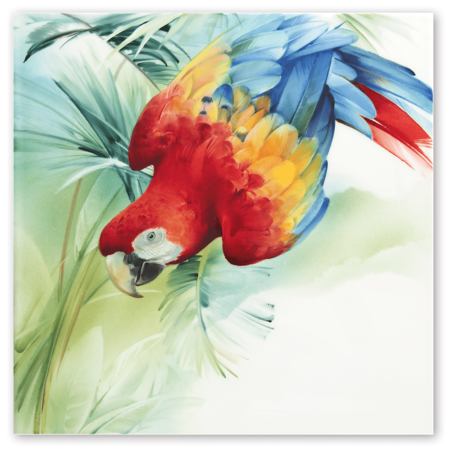 Wandbild, Amazonas Roter Ara, 30 x 30 cm | Meissen Wandbilder - Edition 936c74 - 9m010 - Meissen Weimar