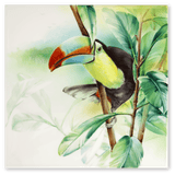 Wandbild Amazonas - Tukan, Porzellan, H 30 cm | Meissen Wandbilder-Edition
