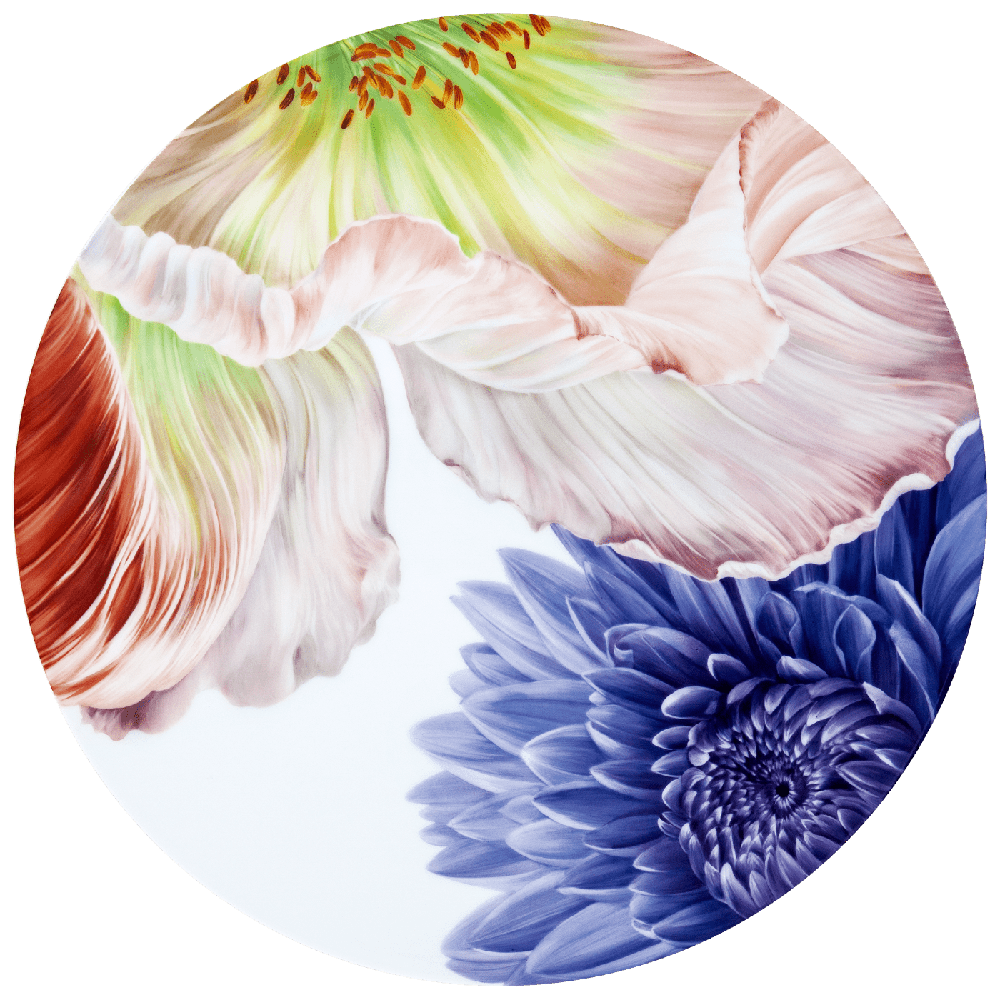 Wandbild, Giant Bloom, Ø 40 cm | Meissen Limitierte Meisterwerke 932o84 - 9ma61 - Meissen Weimar