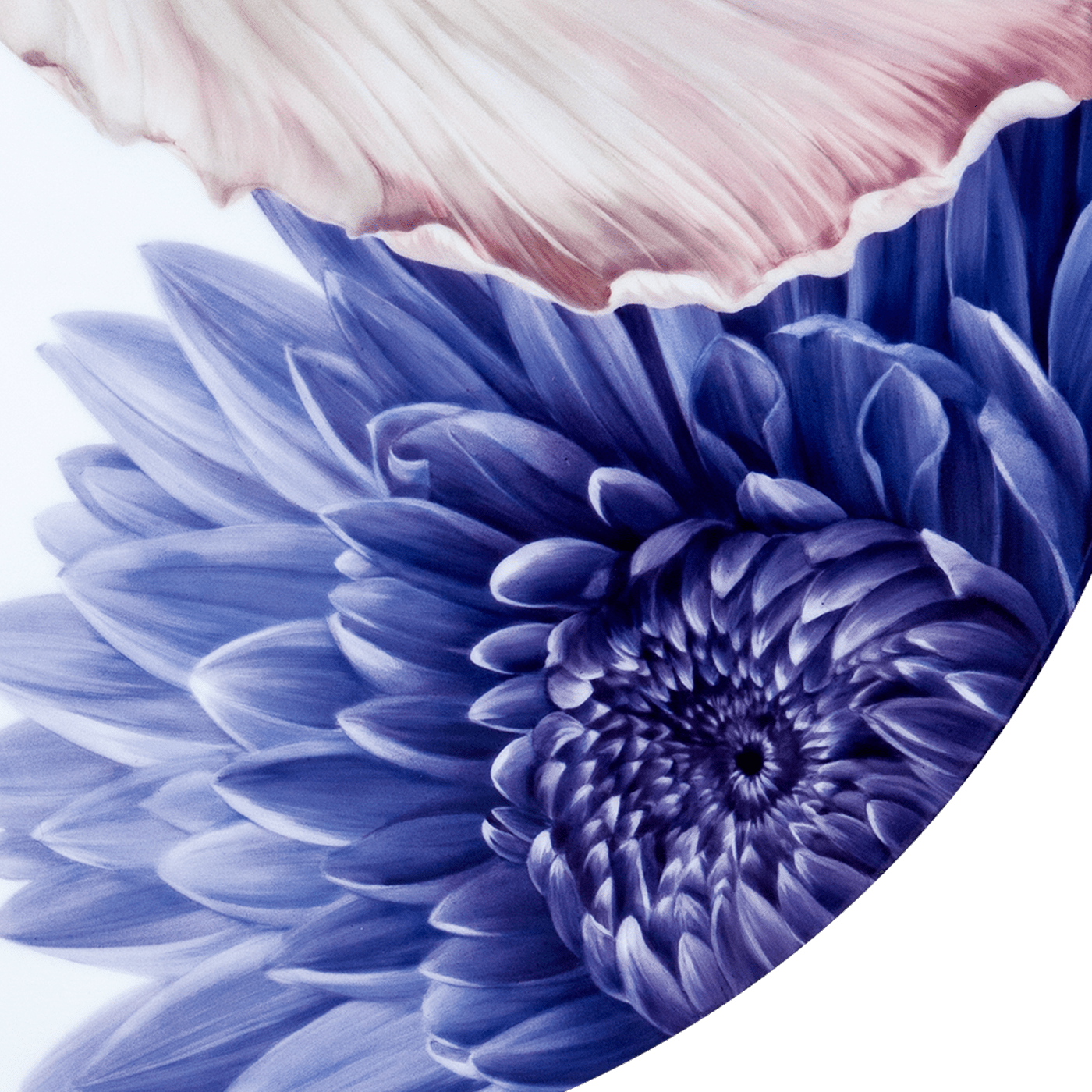 Wandbild, Giant Bloom, Ø 40 cm | Meissen Limitierte Meisterwerke 932o84 - 9ma61 - Meissen Weimar