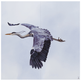 Wandbild Graureiher, Porzellan, H 60 cm x B 60 cm | Meissen Wandbilder-Edition