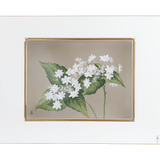 Wandbild Hortensienblüte L 55 cm H 43 cm, limitiert | Meissen Limitierte Meisterwerke