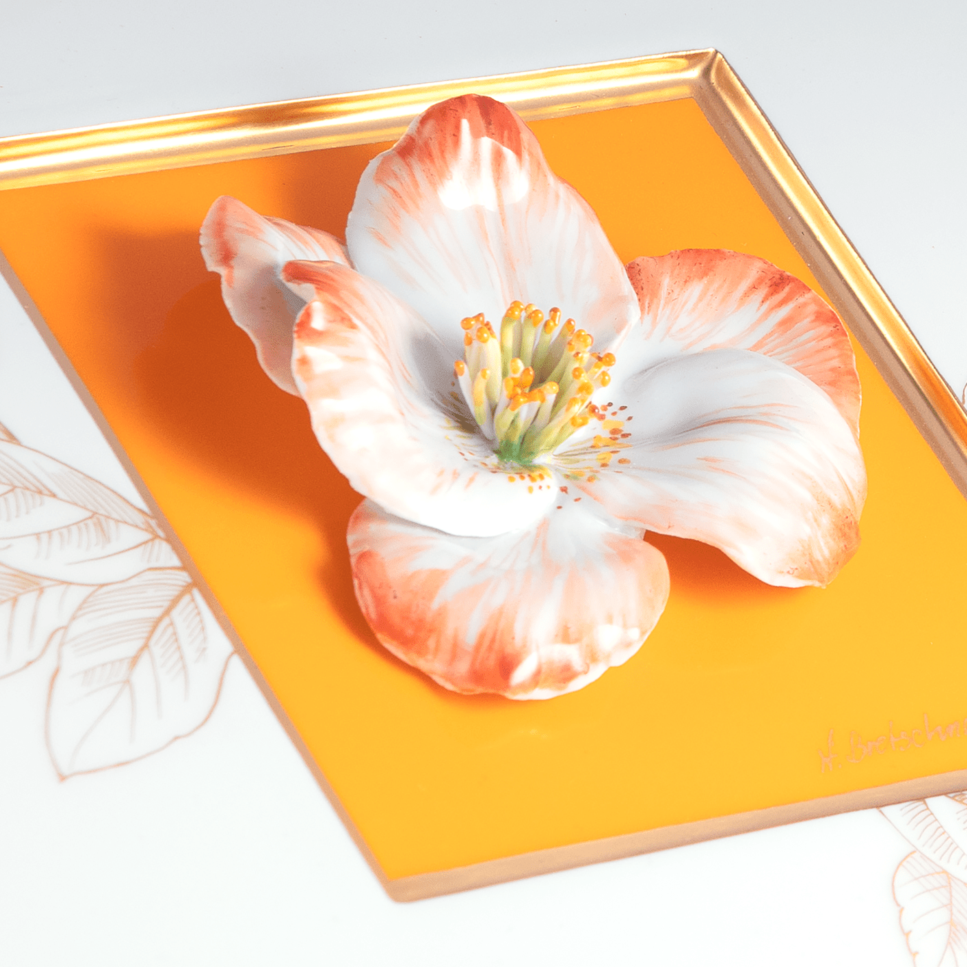 Wandbild mit Kamelienblüte, Orangefarbener Fond, H 23 cm | Meissen Atelier - Edition 932690 - 9m862 - Meissen Weimar