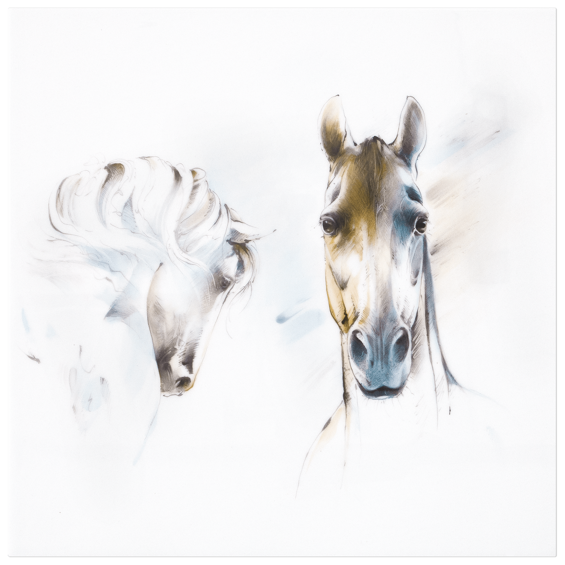 Wandbild, Pferde Studie, 30 x 30 cm | Meissen Wandbilder - Edition 936174 - 9m010 - Meissen Weimar