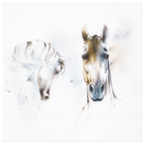 Wandbild, Pferde Studie, 30 x 30 cm | Meissen Wandbilder-Edition