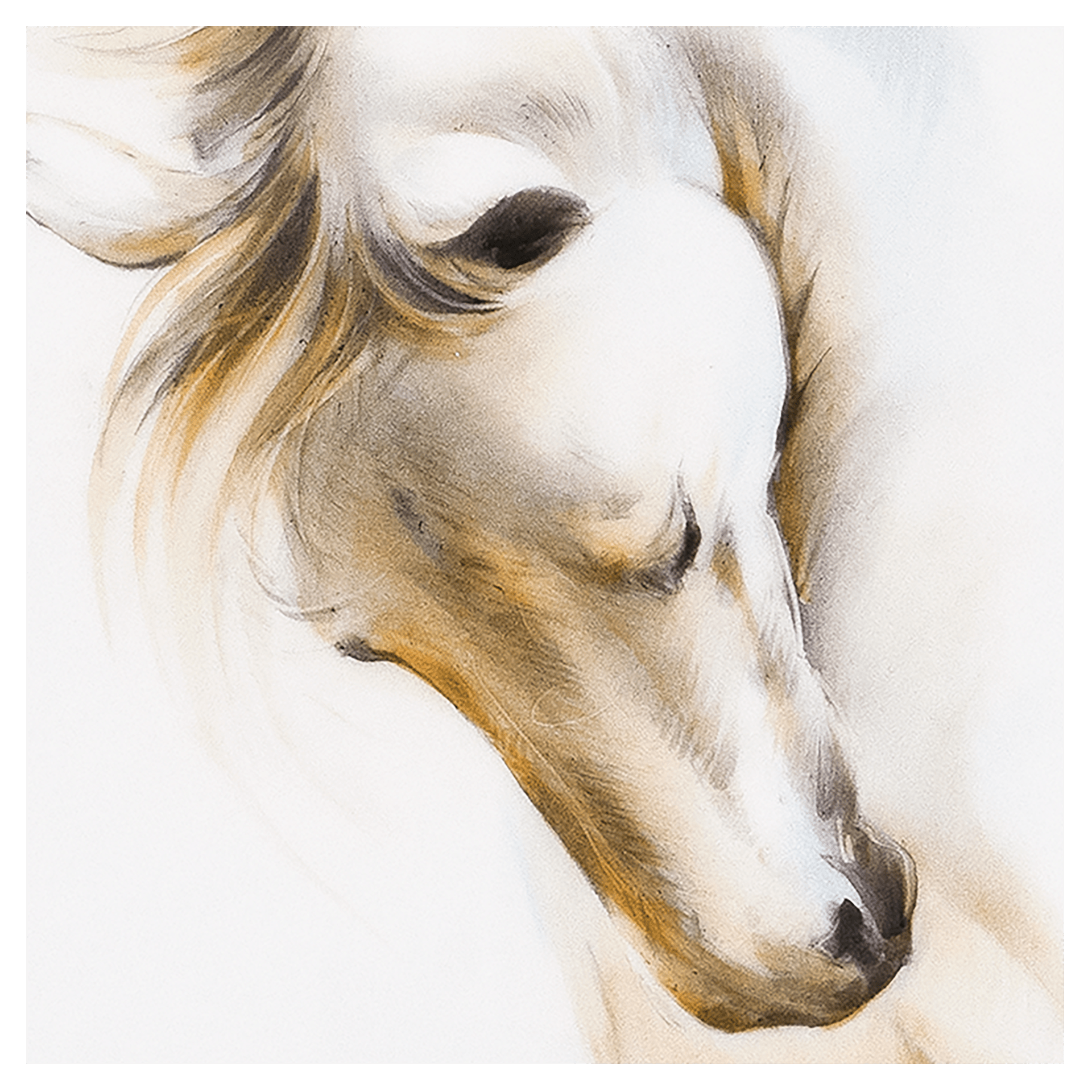 Wandbild Pferde Studie II, 30 x 30 cm, limitiert | Meissen Wandbilder - Edition 936274 - 9m010 - Meissen Weimar