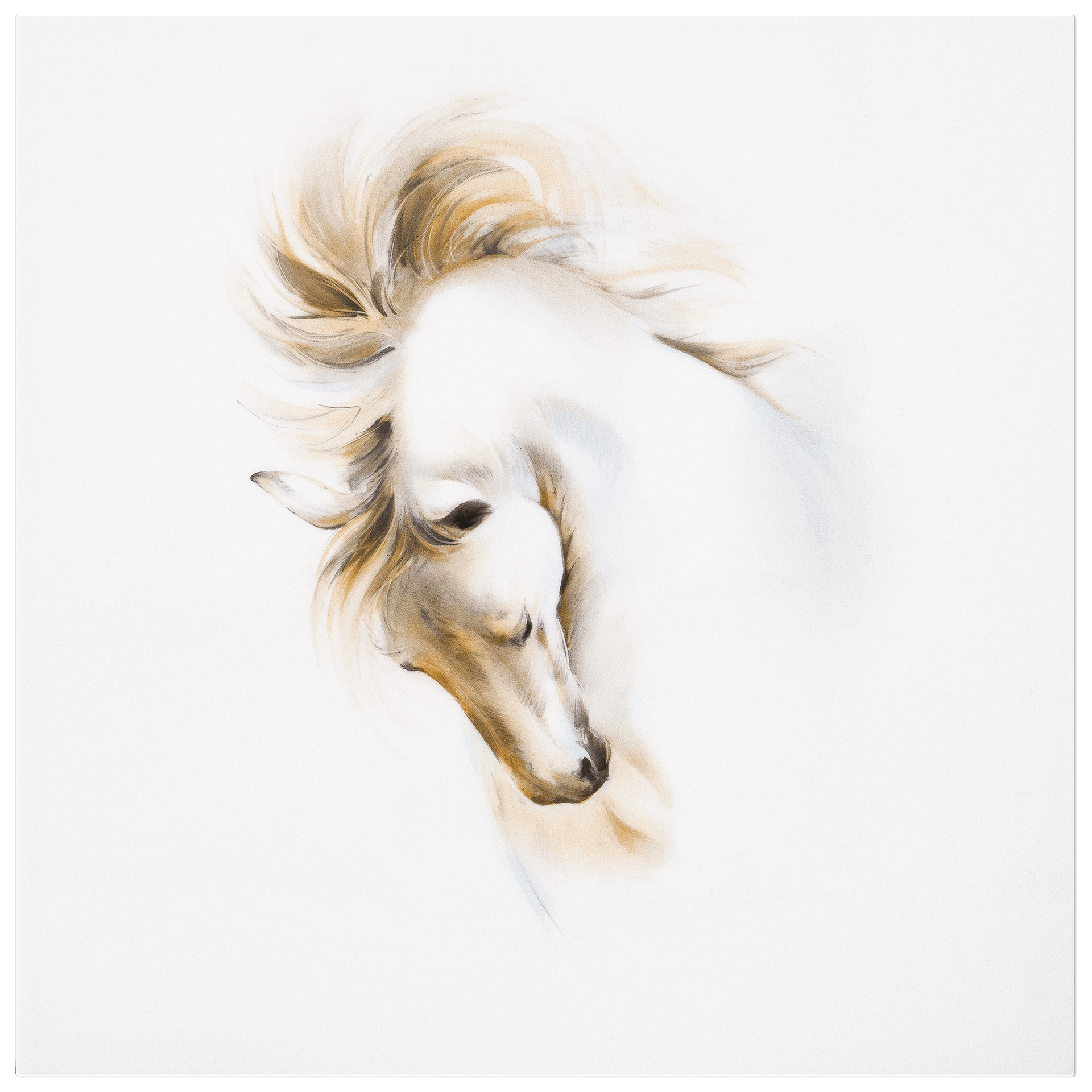 Wandbild Pferde Studie II, 30 x 30 cm, limitiert | Meissen Wandbilder - Edition 936274 - 9m010 - Meissen Weimar