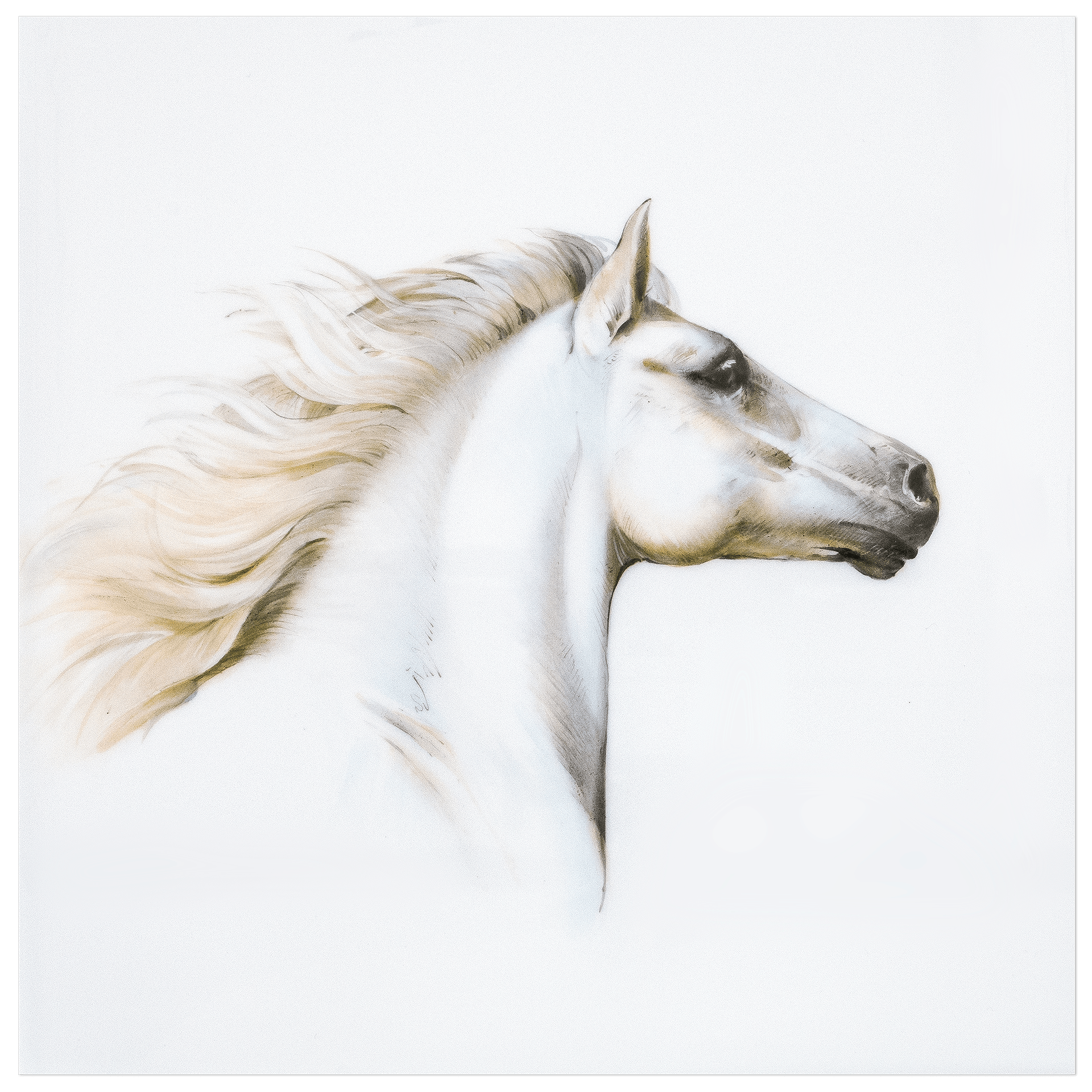 Wandbild Pferde Studie III, Porzellan, 30 x 30 cm | Meissen Wandbilder - Edition 936374 - 9m010 - Meissen Weimar