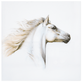 Wandbild Pferde Studie III, Porzellan, 30 x 30 cm | Meissen Wandbilder-Edition