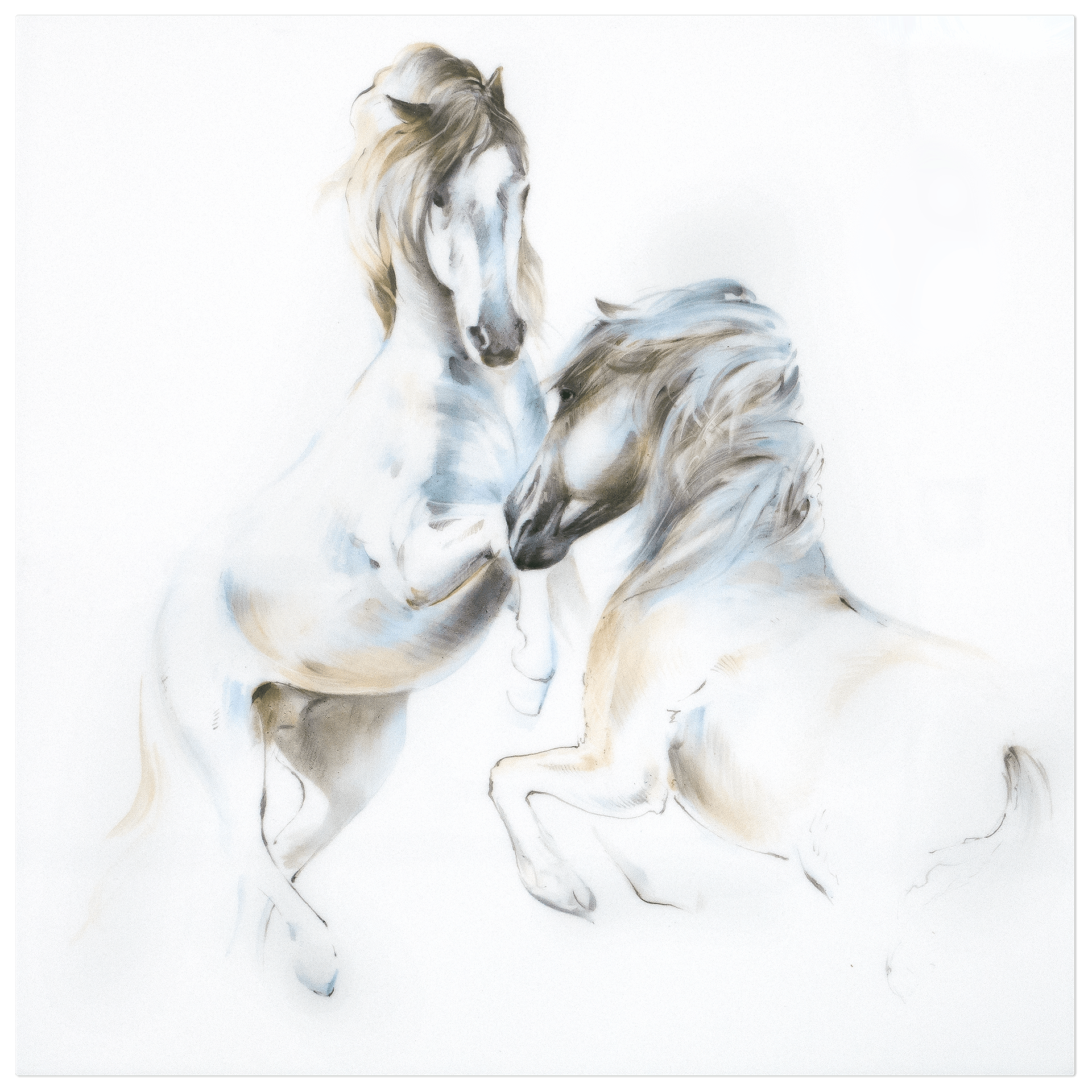 Wandbild Pferde, Weiß, 30 x 30 cm, Limited Edition | Meissen Limited Edition 936474 - 9m010 - Meissen Weimar