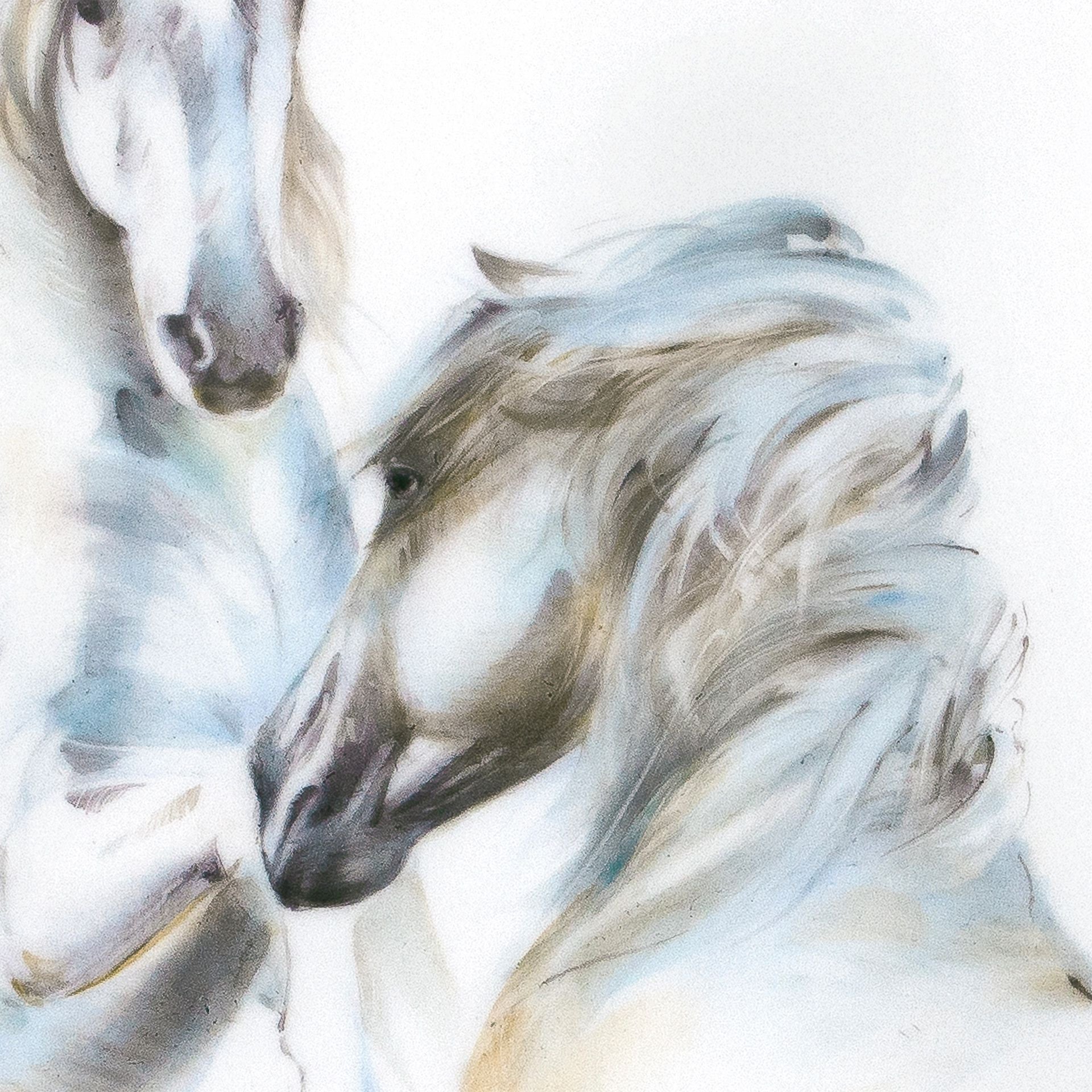 Wandbild Pferde, Weiß, 30 x 30 cm, Limited Edition | Meissen Limited Edition 936474 - 9m010 - Meissen Weimar