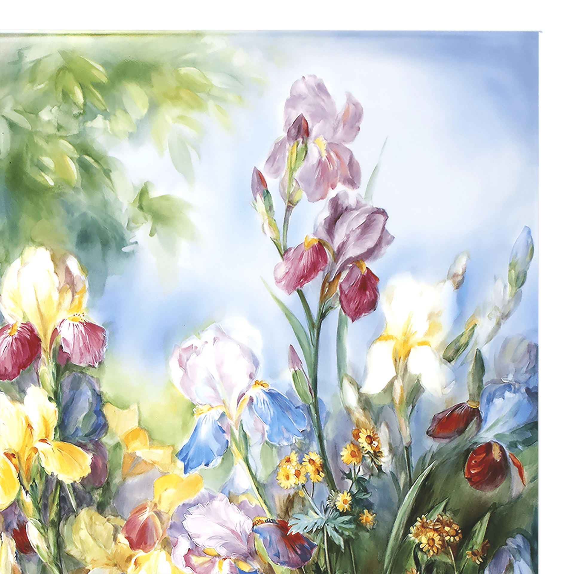 Wandbild Schwertlilien, Lim. 15, 75 x 51 cm | Meissen Limitierte Meisterwerke 932Y84-9M220 - Meissen Weimar