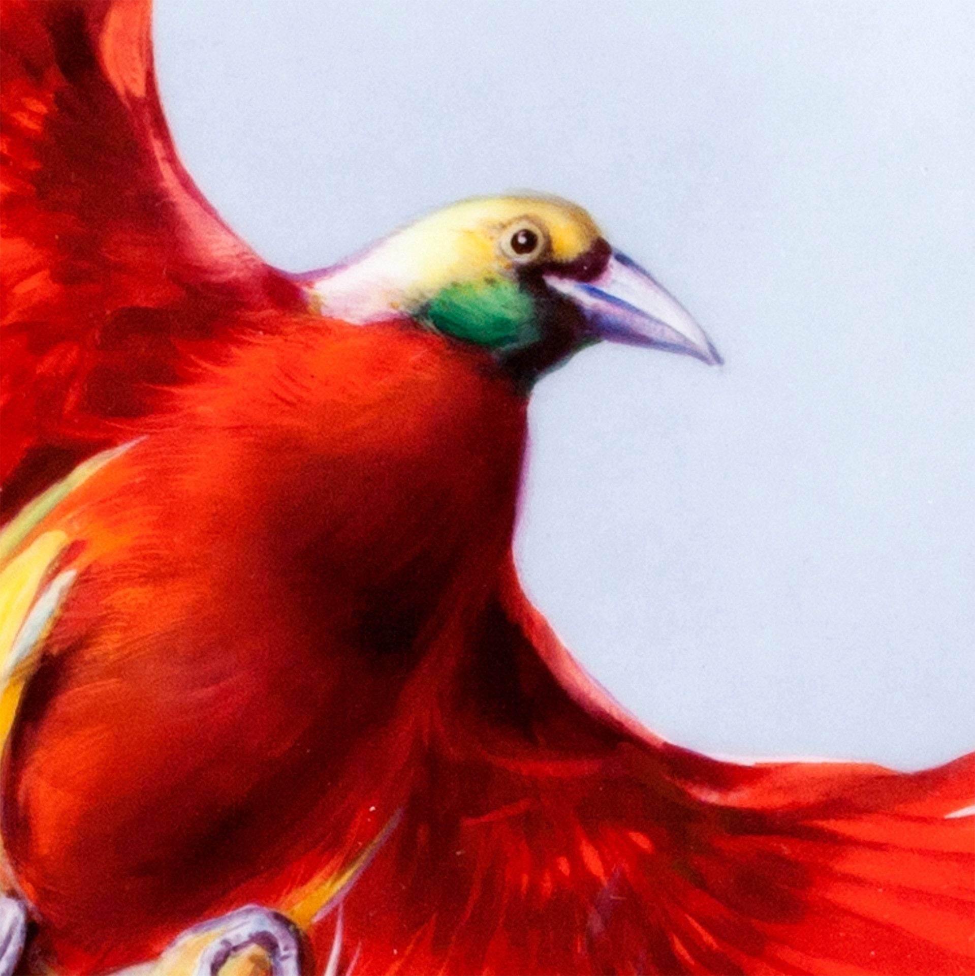 Wandgemälde, Roter Paradiesvogel, H 60 cm | Meissen Wandbilder - Edition 936s04 - 9m573 - Meissen Weimar