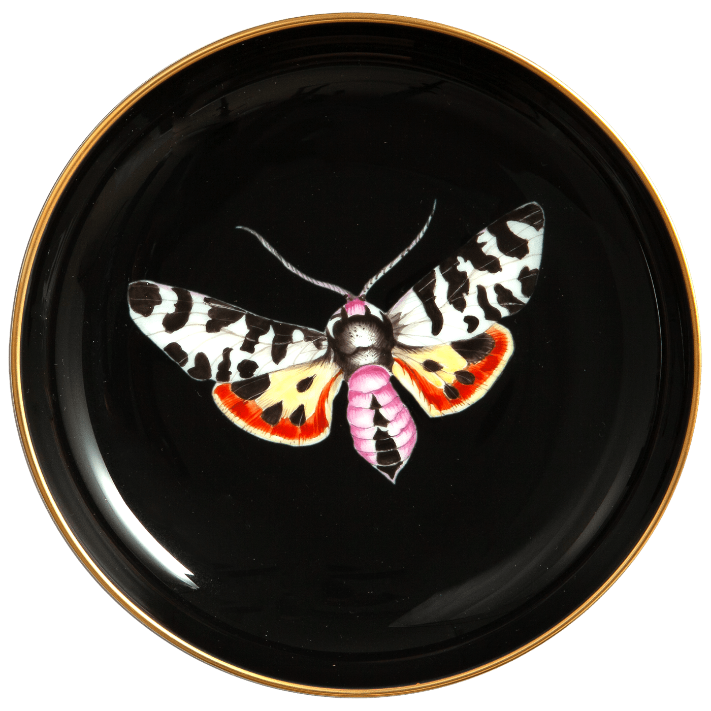 Wandschälchen, Bärenspinner auf schwarzem Hintergrund, Ø 13 cm | Meissen Fine Dining 20a119 - 24m05 - Meissen Weimar