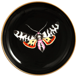 Wandschälchen, Bärenspinner auf schwarzem Hintergrund, Ø 13 cm | Meissen Fine Dining