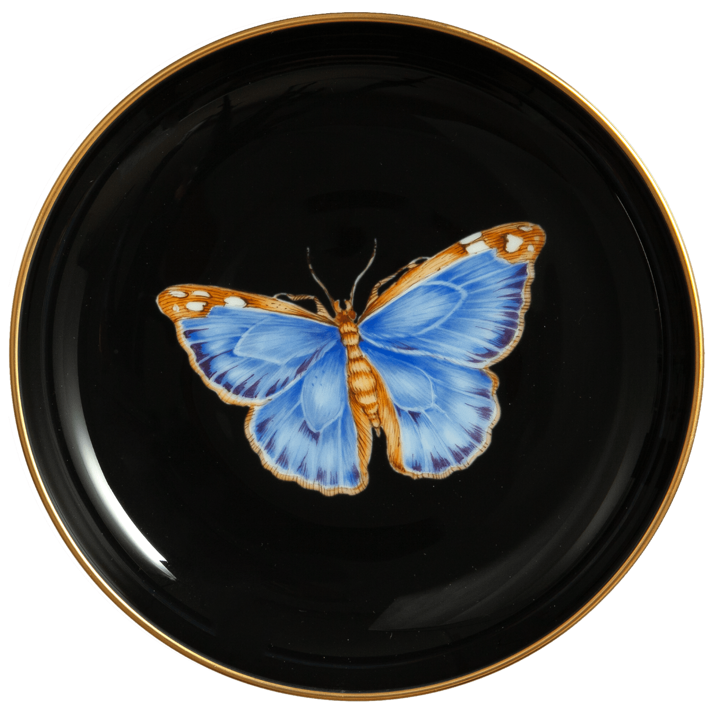 Wandschälchen Blauer Morphofalter, schwarz, Ø 13 cm | Meissen Schalen Kollektion 20a115 - 24m05 - Meissen Weimar
