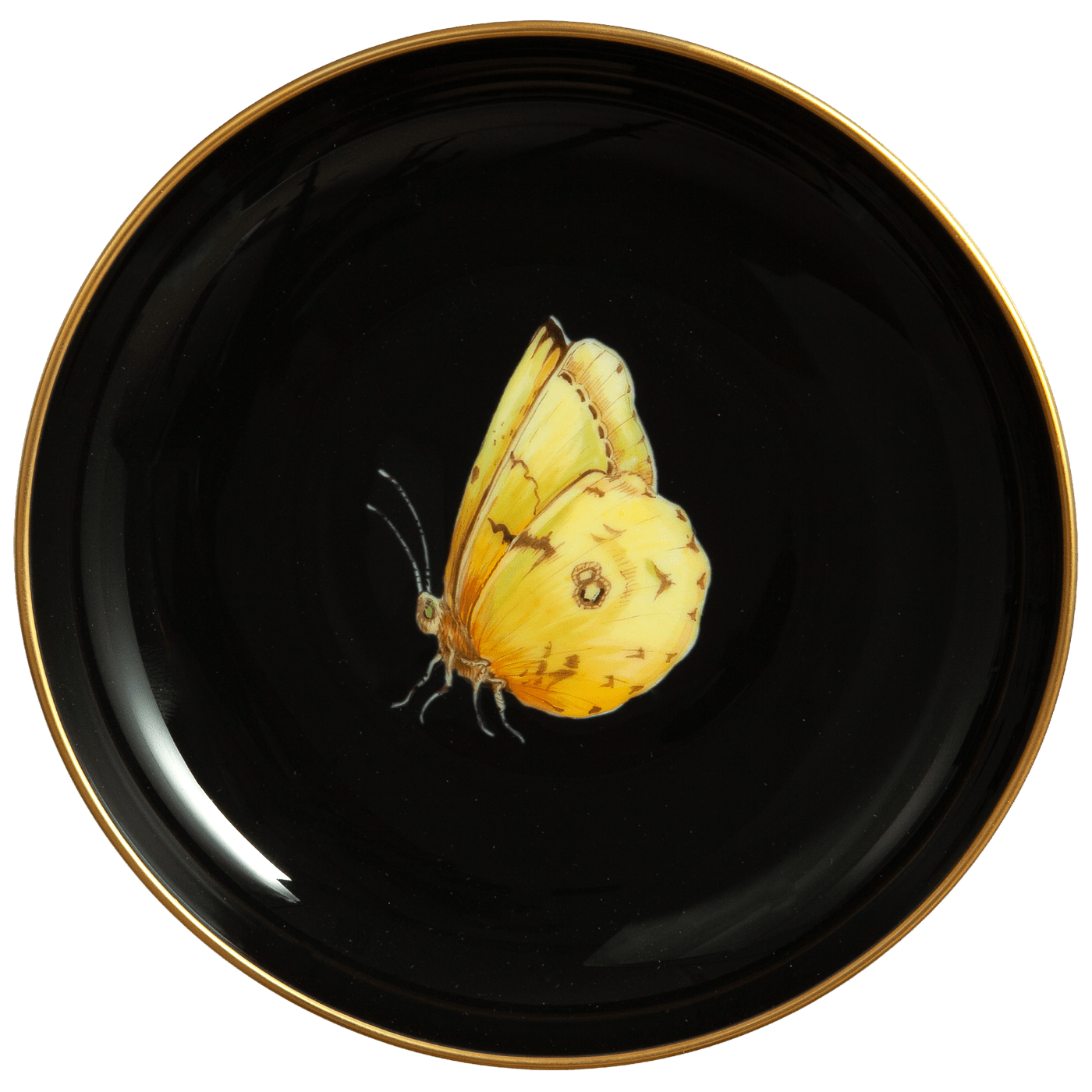 Wandschälchen Goldene Acht auf schwarzem Hintergrund, Ø 13 cm | Meissen Fine Dining 20a120 - 24m05 - Meissen Weimar