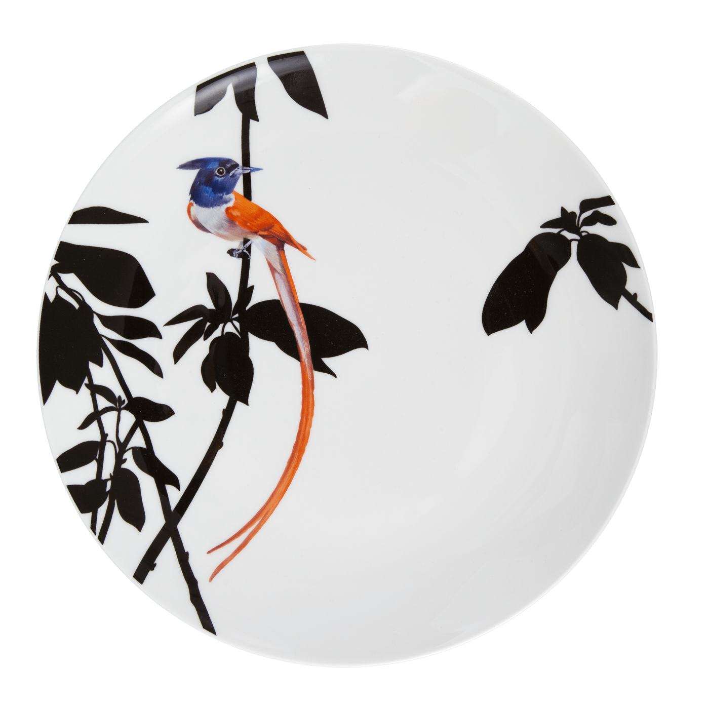Wandteller, Bunt, Ø 27 cm | Meissen Kollektion Flying Wonders 61a122 - 54m49 - Meissen Weimar