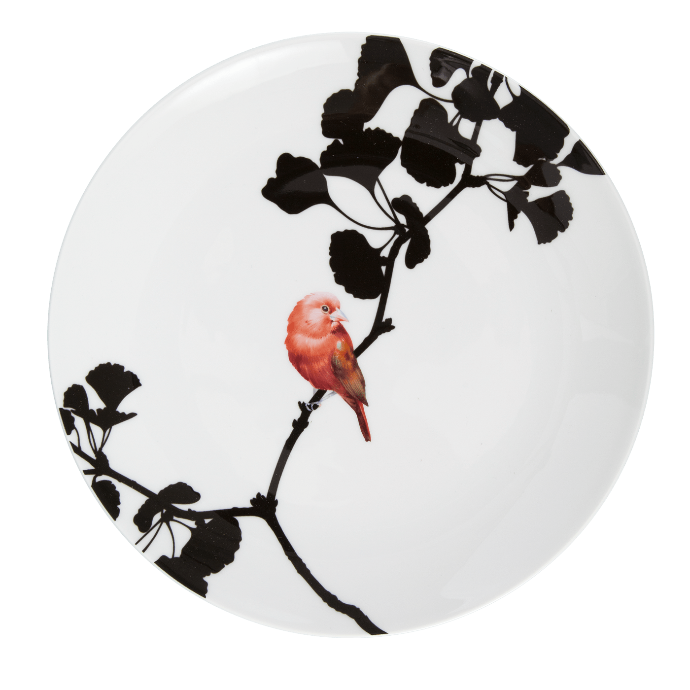 Wandteller Flying Jewels Summer Tanager Ø 27 cm | Meissen Kollektion Flying Wonders 61a126 - 54m49 - Meissen Weimar