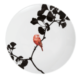 Wandteller Flying Jewels Summer Tanager Ø 27 cm | Meissen Kollektion Flying Wonders