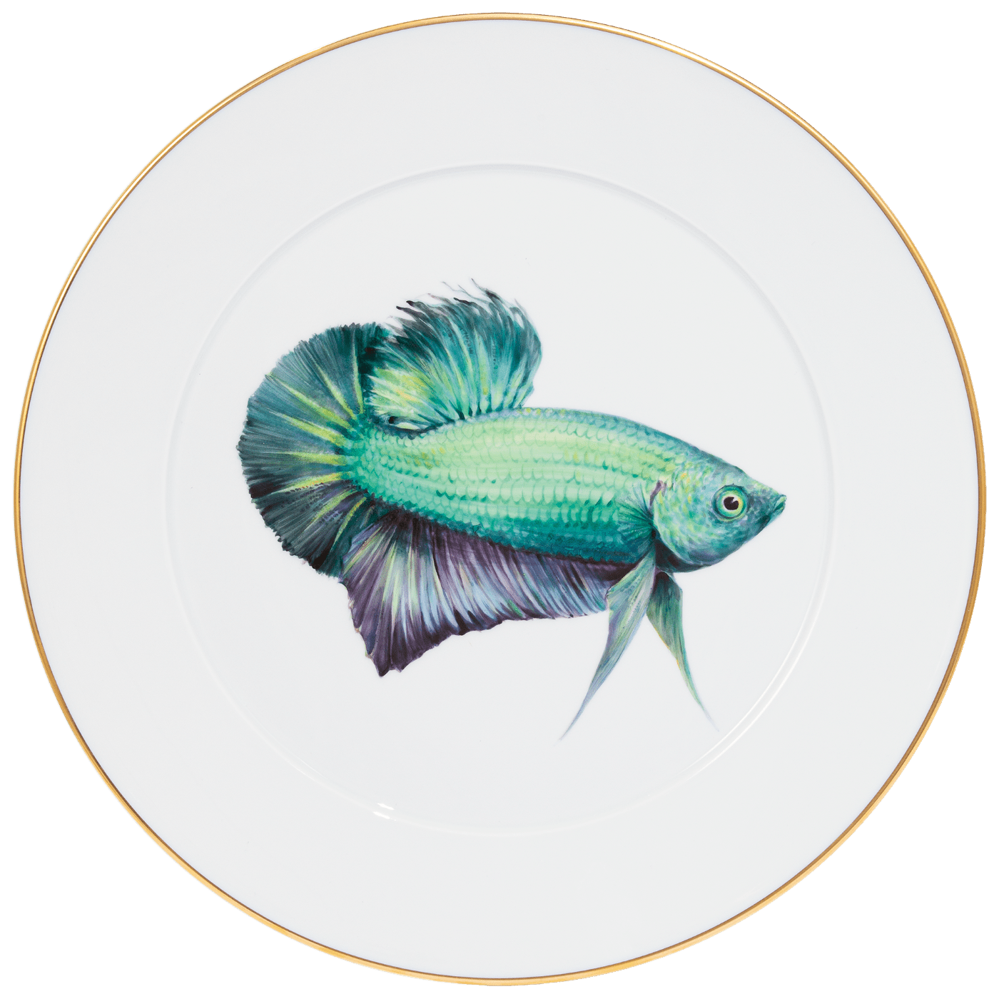 Wandteller Grüner Kampffisch Ø 33 cm limitiert | Meissen No. 41 Mystik Maison 936774 - 41m02 - Meissen Weimar