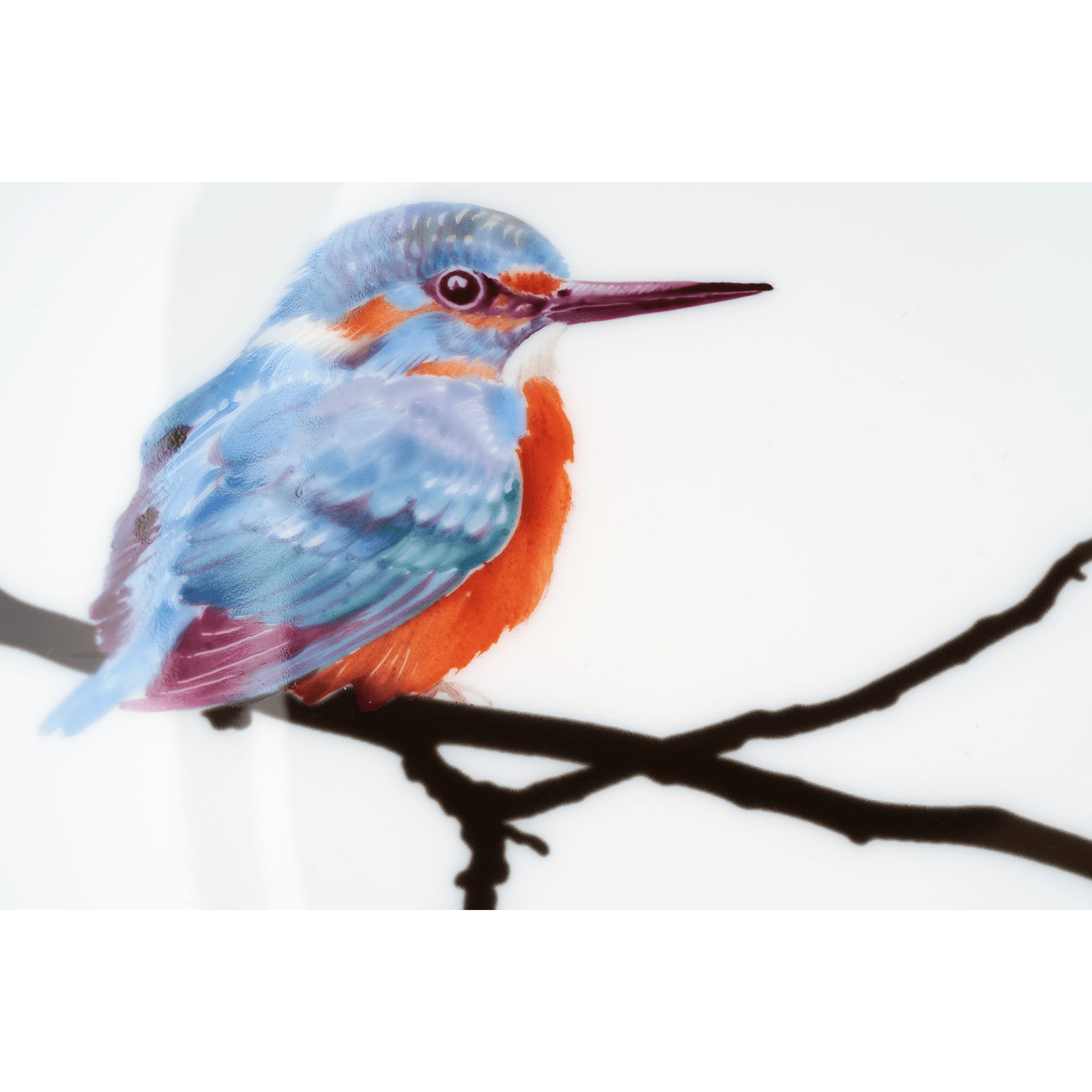 Wandteller, 'Kingfisher', Ø 27 cm | Meissen Kollektion 'Flying Jewels' 61A125 - 54M49 - Meissen Weimar