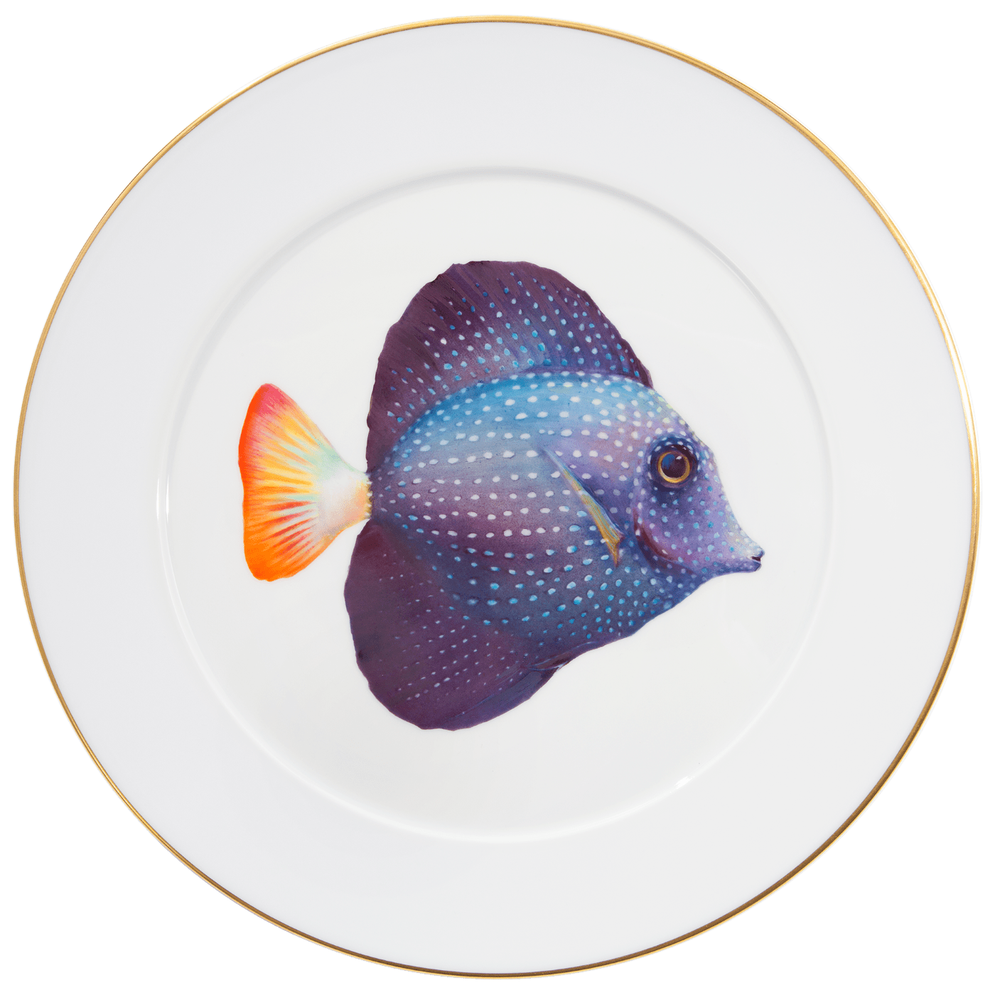 Wandteller, Mauritius Segelflossen - Doktorfisch, Ø 33 cm, limitiert | Meissen No.41 Casa 936874 - 41m02 - Meissen Weimar