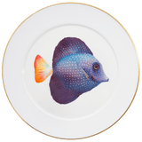 Wandteller, Mauritius Segelflossen-Doktorfisch, Ø 33 cm, limitiert | Meissen No.41 Casa