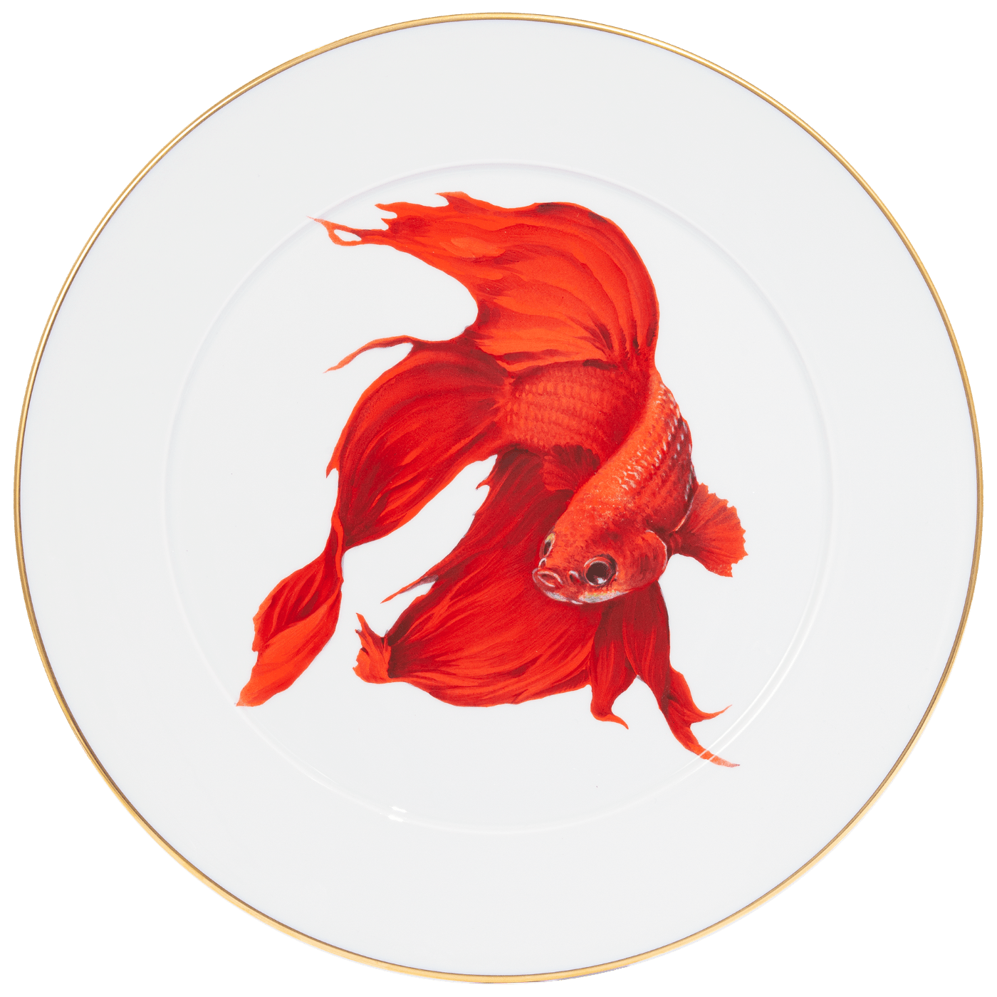 Wandteller Roter Betta Kampffisch, Ø 33 cm | Meissen No.41 Casa 936574 - 41m02 - Meissen Weimar
