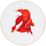 Wandteller Roter Betta Kampffisch, Ø 33 cm | Meissen No.41 Casa