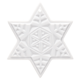 Weihnachtsstern, Weiß, bisquit, H 5,5 cm | Meissen Zweigschmuck  Weihnachtskollektion